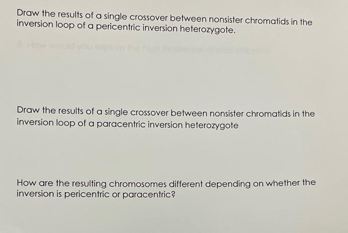 Solved Draw the results of a single crossover between | Chegg.com