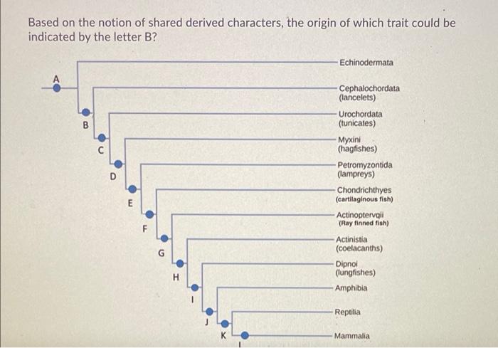 Solved Based on the notion of shared derived characters, the | Chegg.com