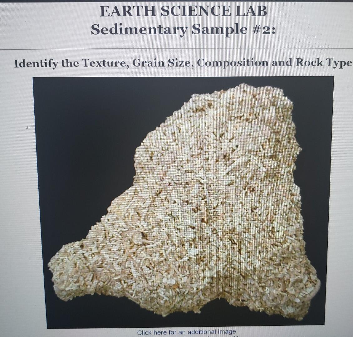 Solved EARTH SCIENCE LAB Metamorphic Sample #1: Identify The | Chegg.com