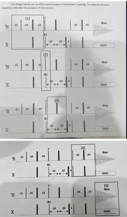 For each boxed pulse sequence, describe the purpose | Chegg.com