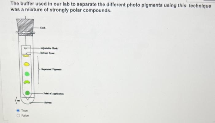 The buffer used in our lab to separate the different | Chegg.com