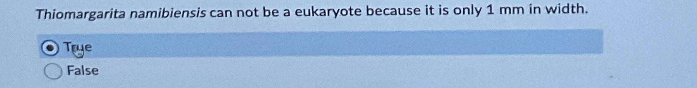 Solved Thiomargarita namibiensis can not be a eukaryote | Chegg.com