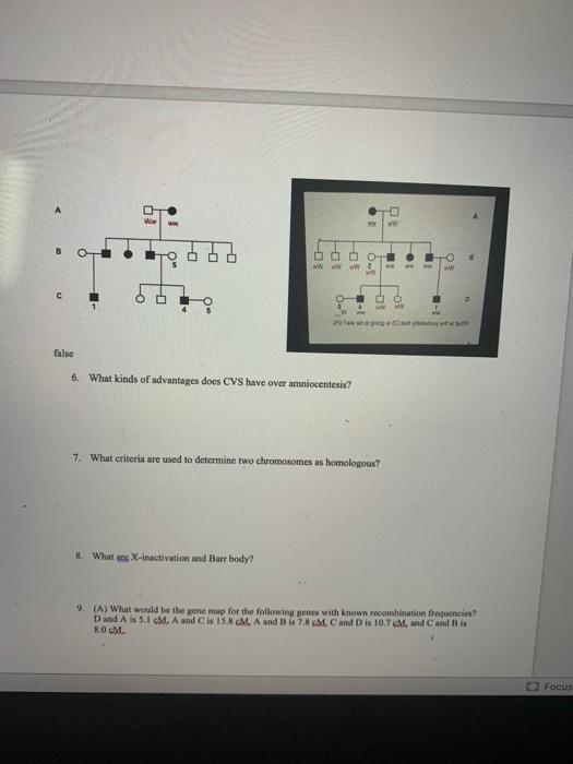 Solved 4. Define Epistasis, Pleiotropy, And Polygenic | Chegg.com