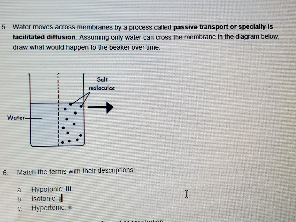 solved-5-water-moves-across-membranes-by-a-process-called-chegg