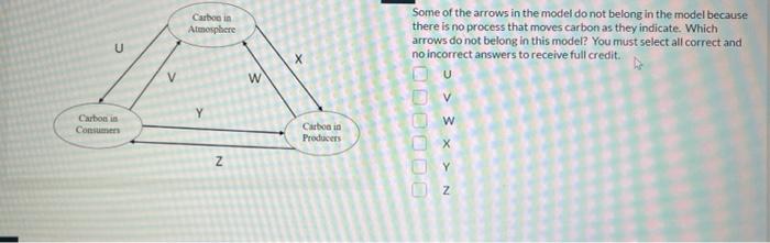 Solved Carbon Atmosphere U Some of the arrows in the model | Chegg.com