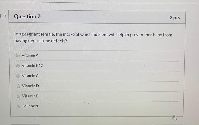 Solved Question 6 2 Pts Which Of The Following Base Pairs