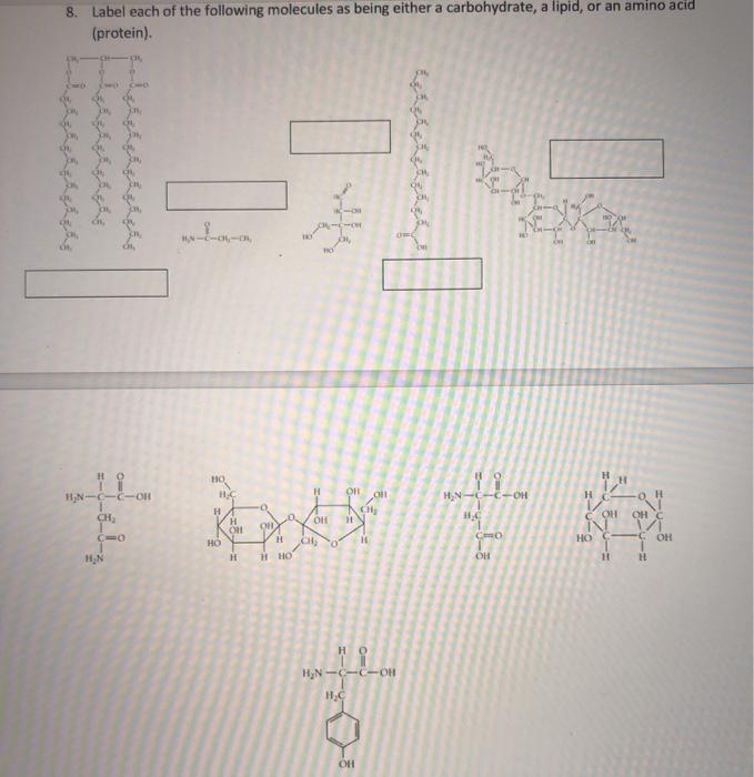 Solved 8. Label each of the following molecules as being | Chegg.com