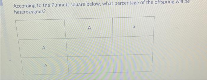 Solved According to the Punnett square below, what | Chegg.com