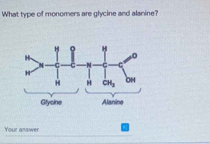 Glycine is what on sale type of monomer