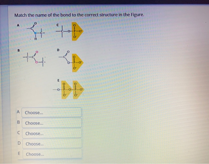 Solved Match the name of the bond to the correct structure | Chegg.com