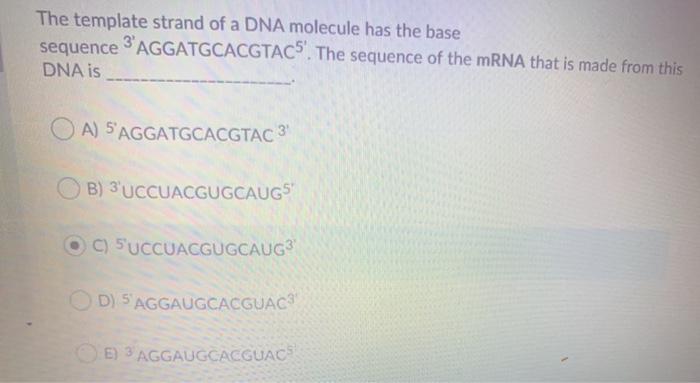 which-best-describes-how-mrna-is-used-in-a-cell