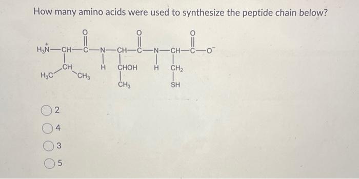 Solved How many amino acids were used to synthesize the | Chegg.com