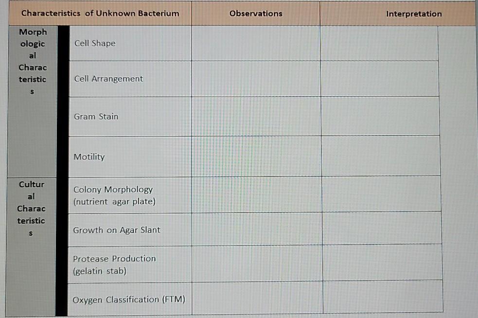 Solved Characteristics of Unknown Bacterium Observations | Chegg.com