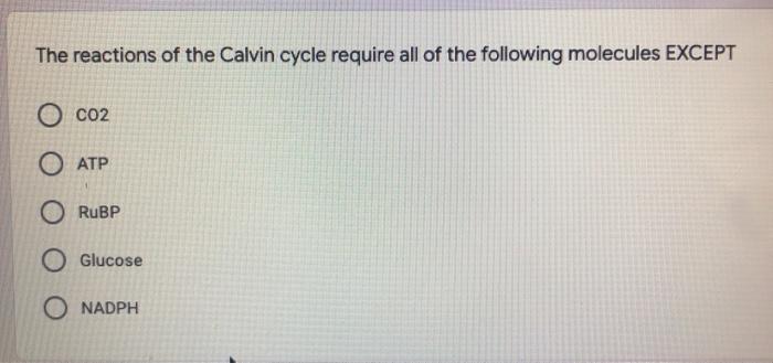 Solved Which Of The Following Are Products Of The Calvin