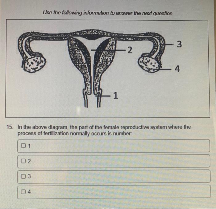 Solved Regulation of Reproductive Hormone Secretion | Chegg.com