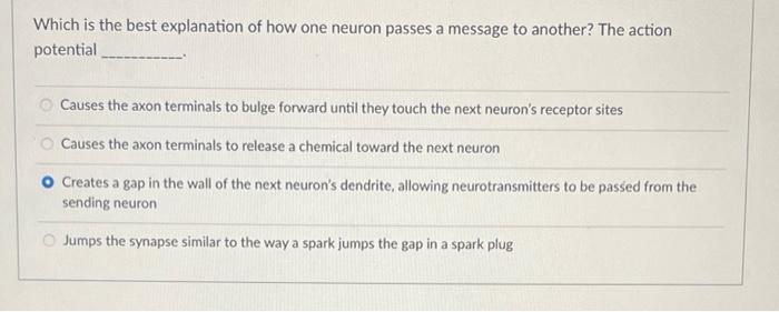 Solved Which is the best explanation of how one neuron | Chegg.com