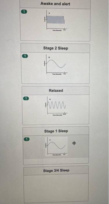 Solved Awake and alert (1) Stage 2 Sleep (1) Relaxed (1) | Chegg.com