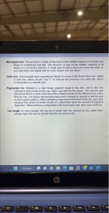 Solved I need this entire lab completed ive attached all | Chegg.com