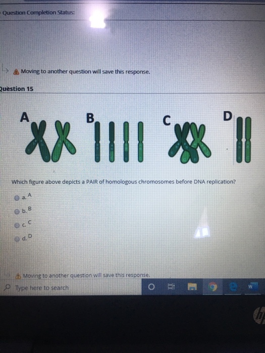 Solved estion 9 ATP ADP A B Which diagram represents | Chegg.com