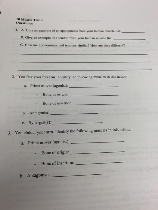 Solved 10 Muscle Tissue Questions 1. A. Give an example of