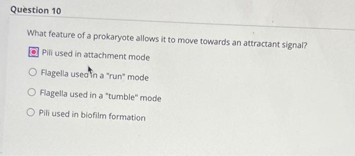 What feature of a prokaryote allows it to move towards an attractant signal?
Pili used in attachment mode
Flagella usedin a