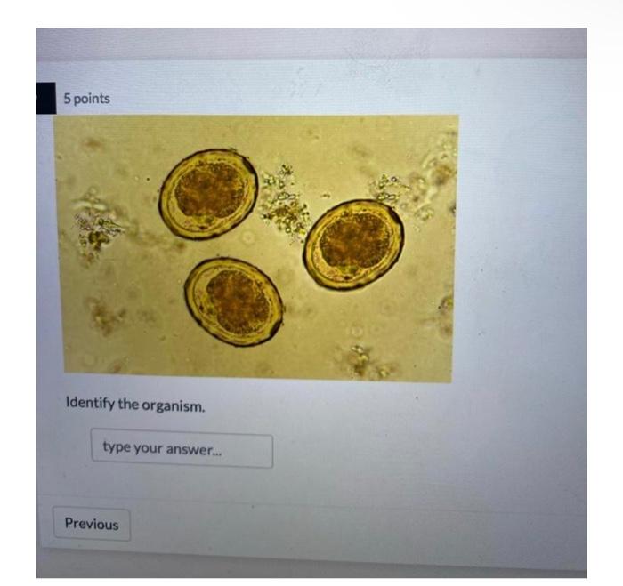 Solved Identify The Organism. | Chegg.com