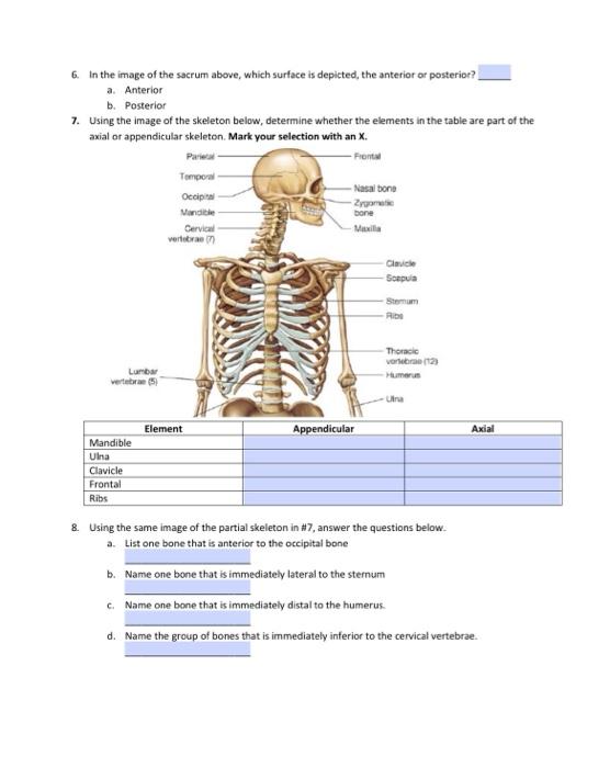 Solved Laboratory Exercise 2: Anatomy Name: Prior to | Chegg.com