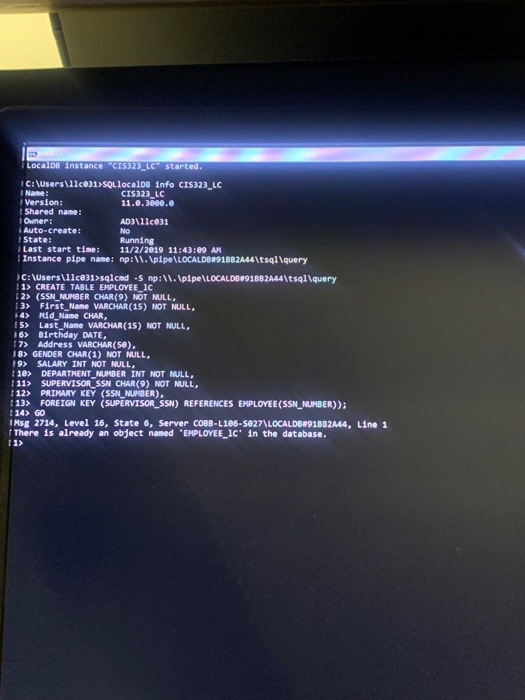 Solved i have been trying to create a sqlcmd table for hours | Chegg.com