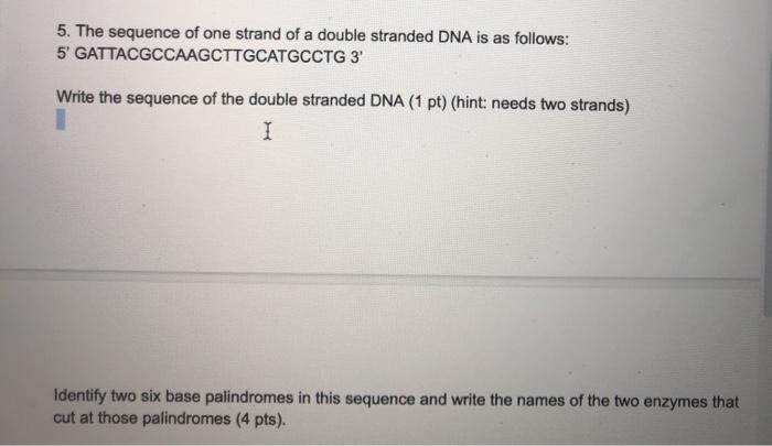 Solved 5. The sequence of one strand of a double stranded | Chegg.com