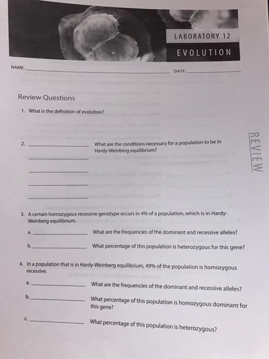 Solved LABORATORY 12 EVOLUTION NAME DATE Review Questions 1. | Chegg.com