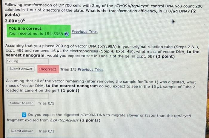Following transformation of DM700 cells with 2ng of | Chegg.com