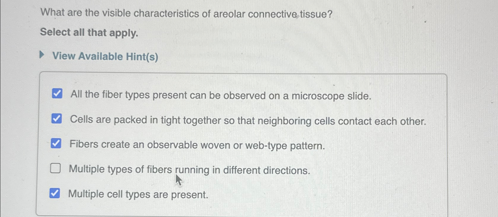 Solved What are the visible characteristics of areolar | Chegg.com