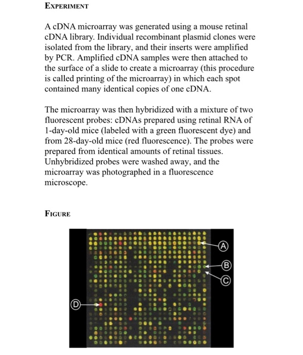 Solved Experiment A Cdna Microarray Was Generated Using A Chegg Com