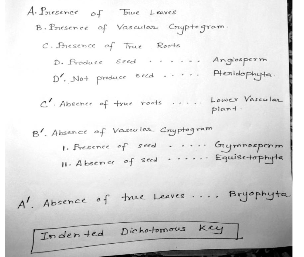 Solved Exercise 2 Construct an indented dichotomous key on