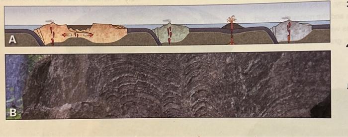 Solved 5. What Did The Atmosphere Of The Archean Consist Of? | Chegg.com