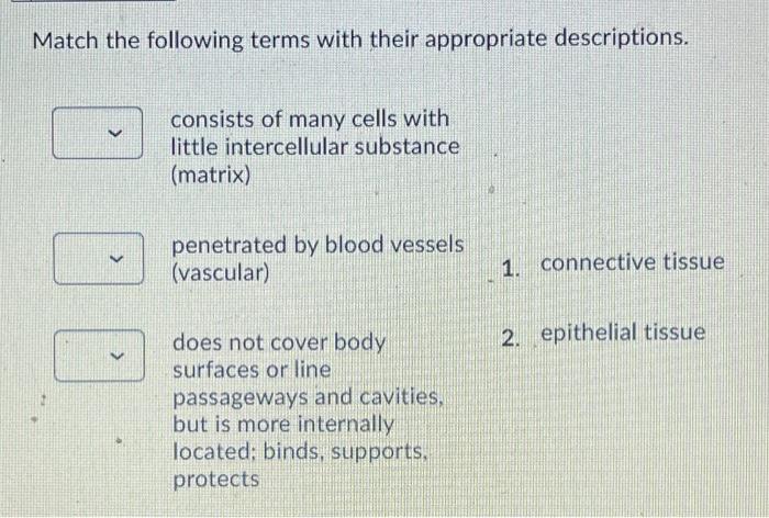 Solved Match the following terms with their appropriate | Chegg.com