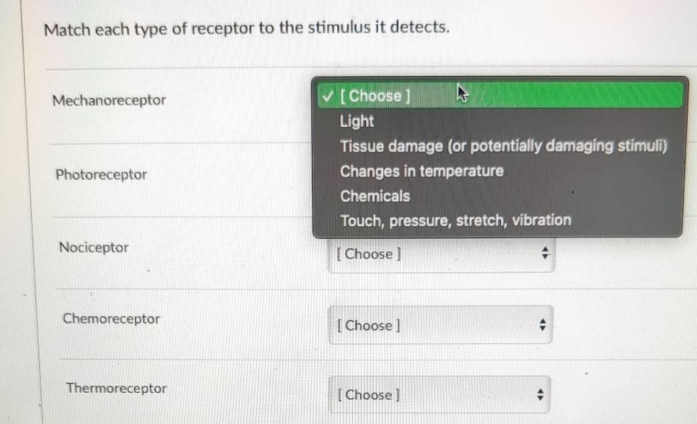 Solved Match each type of receptor to the stimulus it | Chegg.com