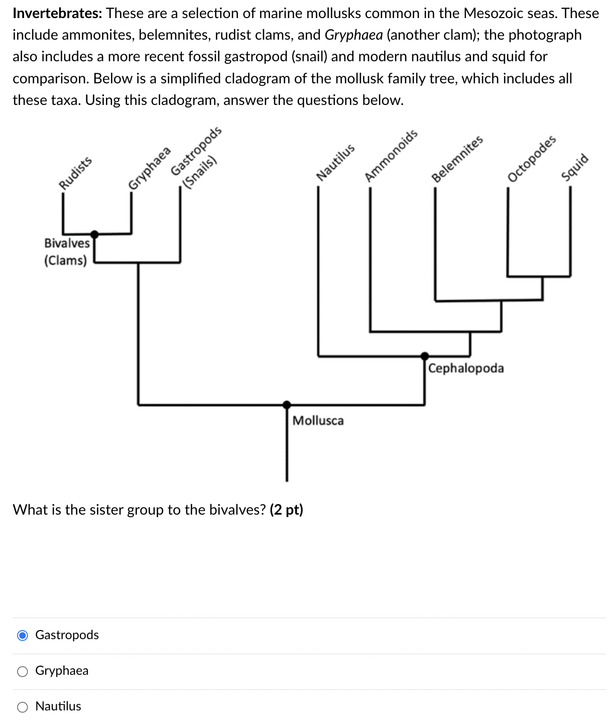 Solved Invertebrates: These Are A Selection Of Marine 