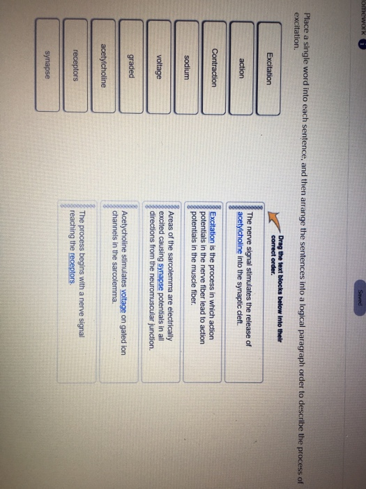 solved-omework-say-place-a-single-word-into-each-sentence-chegg