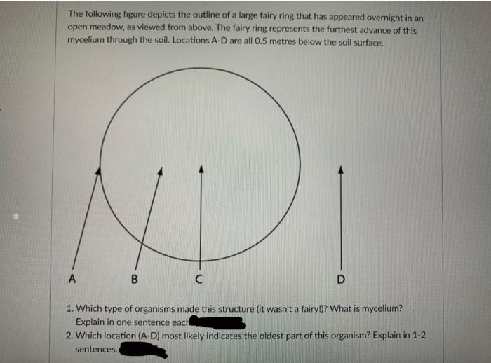 Solved The following figure depicts the outline of a large | Chegg.com