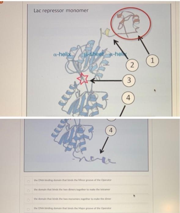 Solved need help with 26 & 2726.27.identify the domain | Chegg.com