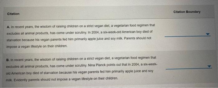 Solved Citation Boundary Citation A In Recent Years The Chegg Com