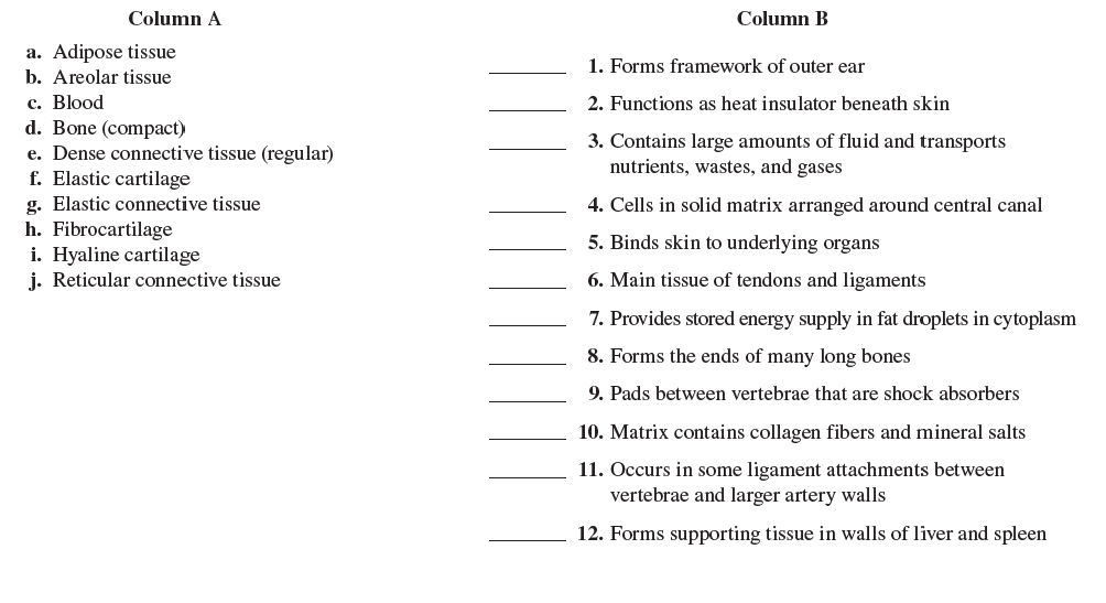 Human Anatomy Physiology Laboratory Manual Cat Version 13th Edition Answer Key