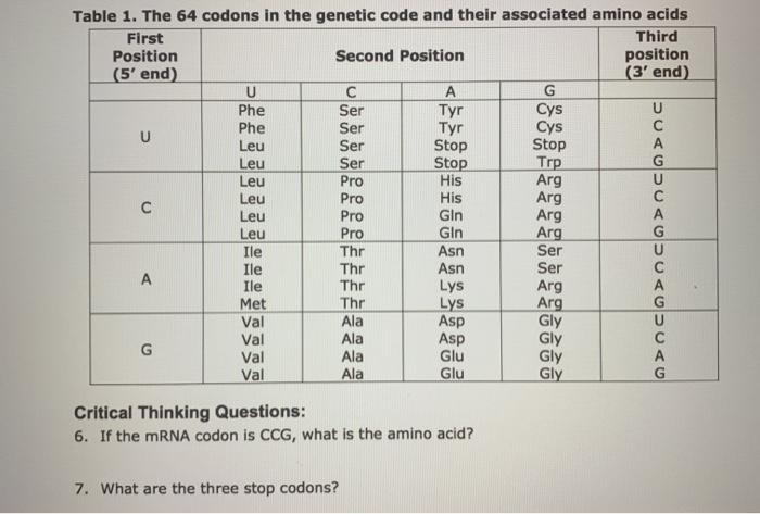 Solved Table 1. The 64 codons in the genetic code and their | Chegg.com