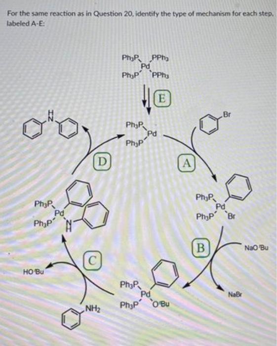 Solved For the same reaction as in Question 20, identify the | Chegg.com