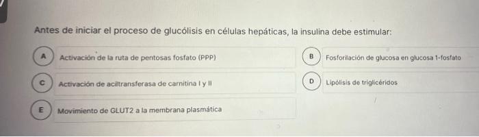 Antes de iniciar el proceso de glucólisis en células hepáticas, la insulina debe estimular: Activación de la ruta de pentosas