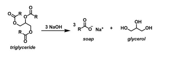 Solved I need help drawing the reaction mechanism for this | Chegg.com