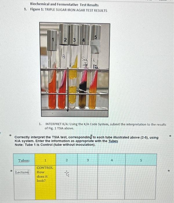 Solved Biochemical and Fermentative Test Results 1. Figure | Chegg.com