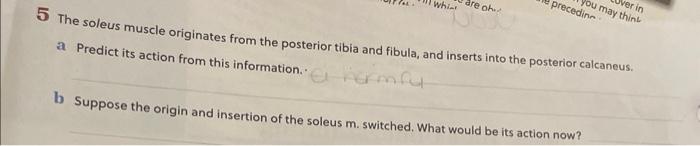 5 The soleus muscle originates from the posteri
thior tibia and fibula, and inserts into the posterior calcaneus.
b Suppose t