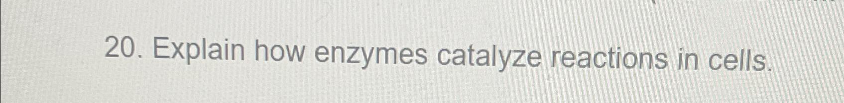Solved Explain how enzymes catalyze reactions in cells. | Chegg.com
